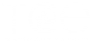 TCE Técnicas de Construcción Eficiente